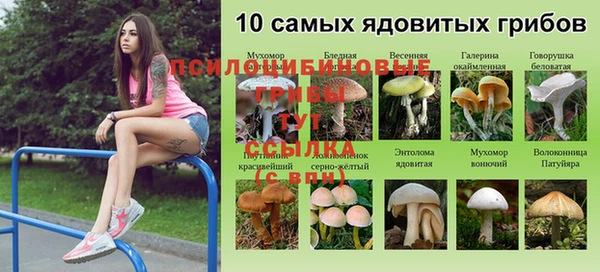 гидропоника Арсеньев