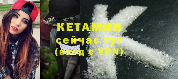 крисы Алзамай