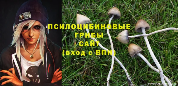гидропоника Арсеньев